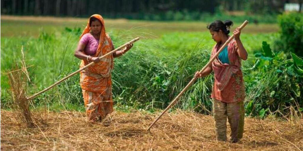 AKOTA JUBO UNNAYAN SANGSTHA